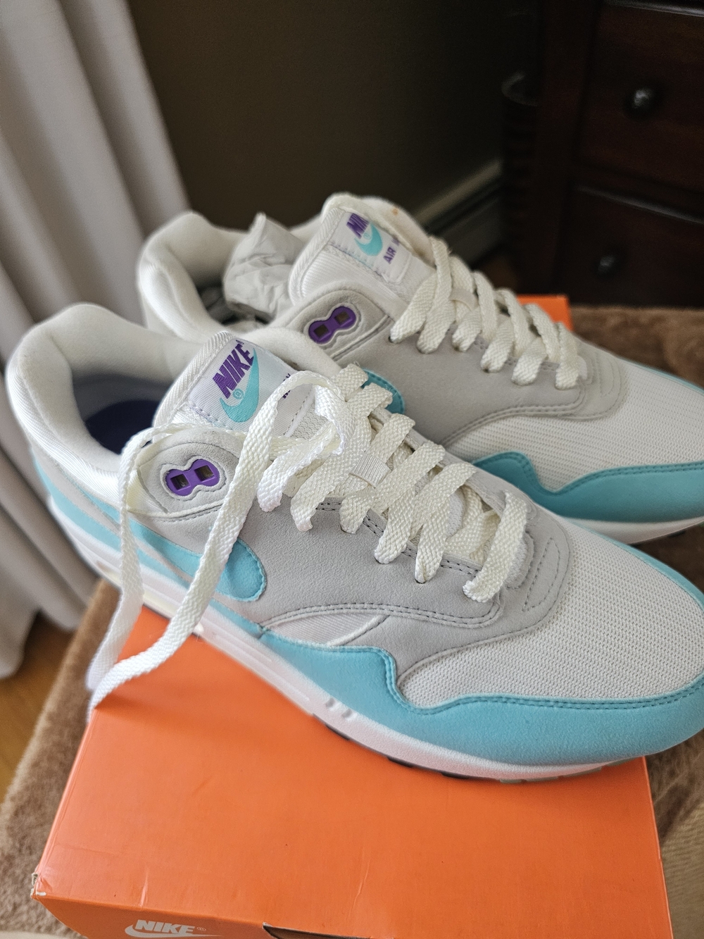 Nike Air Max 1 Anniversary Aqua